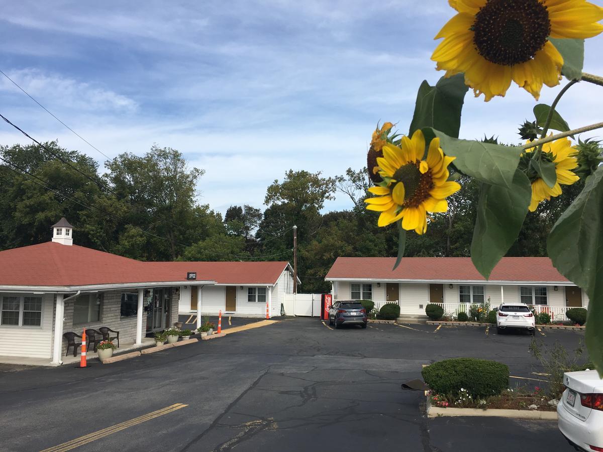 Chisholm'S Motor Inn ソーガス エクステリア 写真